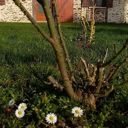 Maison Moomoons Vaubadon