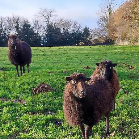 Pensjonat Maison Moomoons Vaubadon