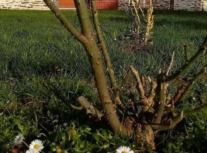 Maison Moomoons Vaubadon