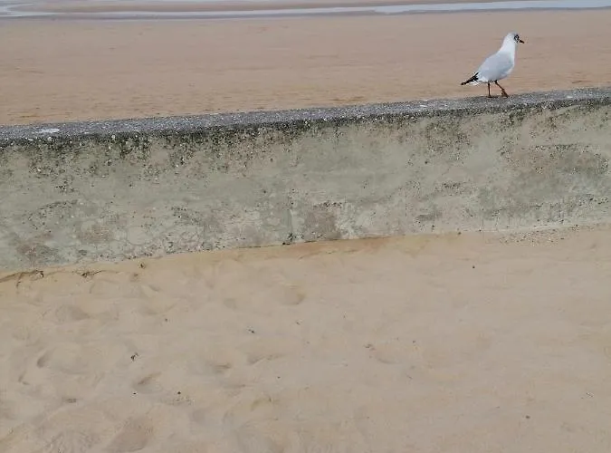 Guest house Maison Moomoons