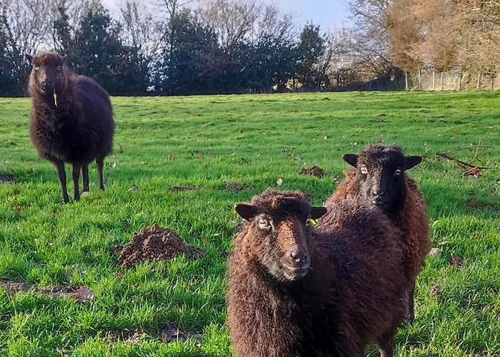 Guest house Maison Moomoons Vaubadon