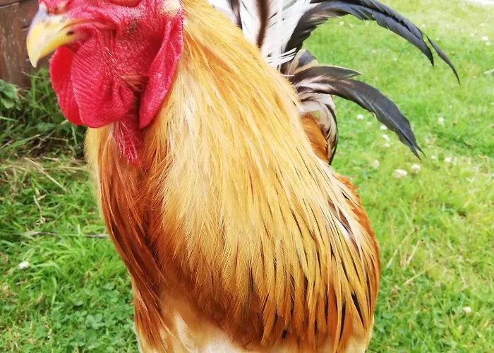 Maison Moomoons Guest house 3*