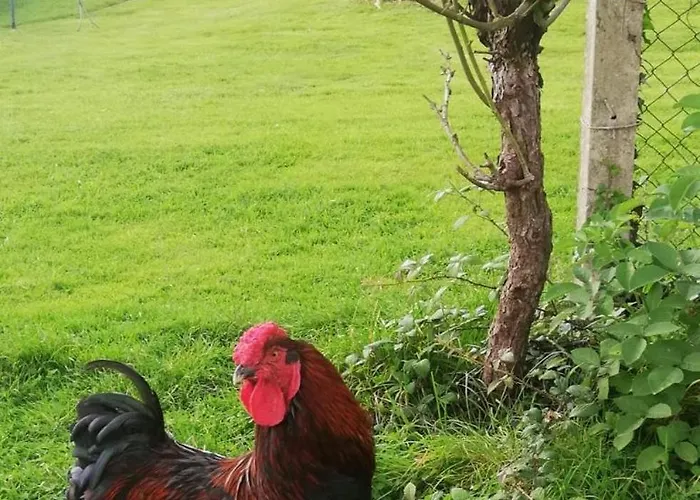 Maison Moomoons 게스트하우스 Vaubadon