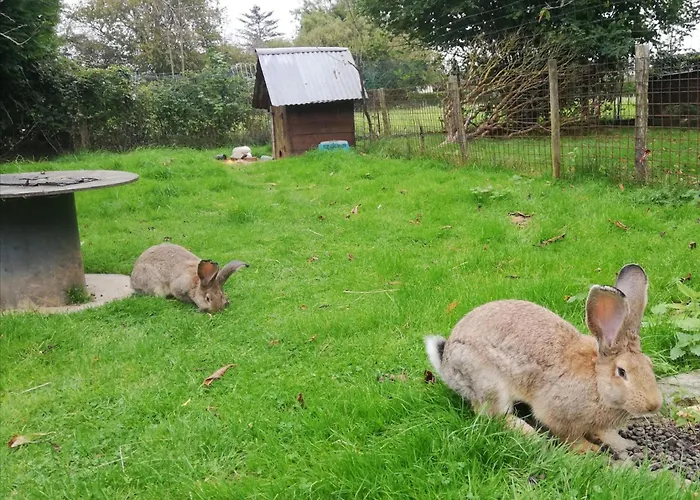 Guest house Maison Moomoons 3*