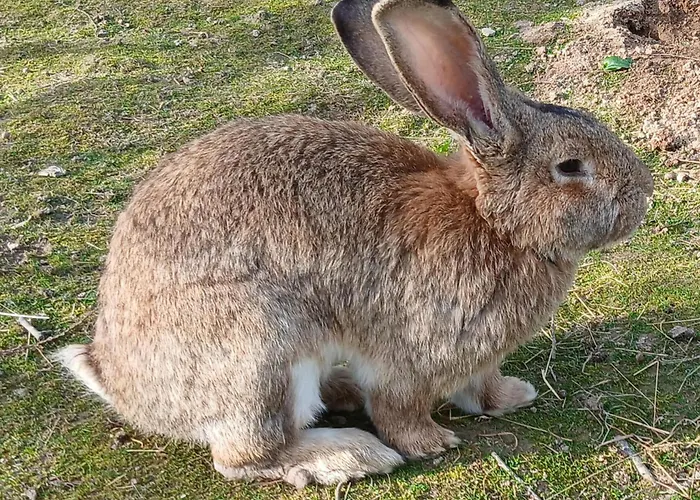 Guest house Maison Moomoons Vaubadon